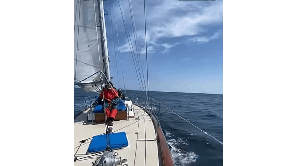 You to can sail